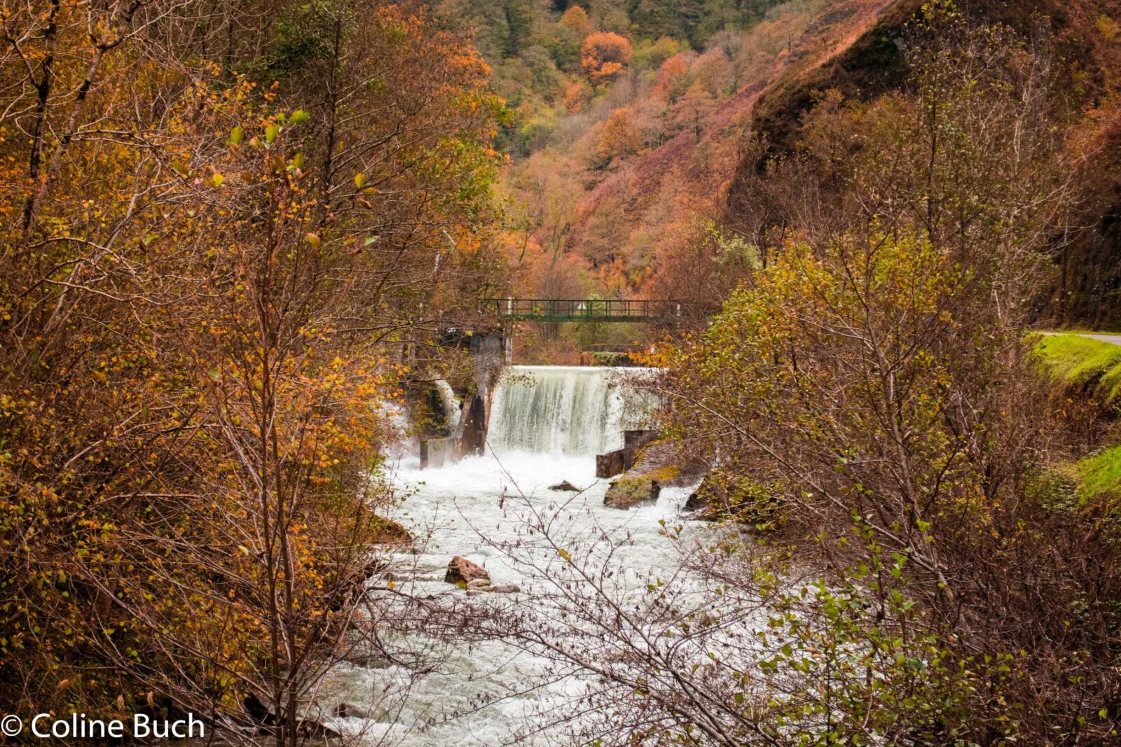 Nikon D3300 sample photo. Automne, barrage, couleurs, feuillage photography