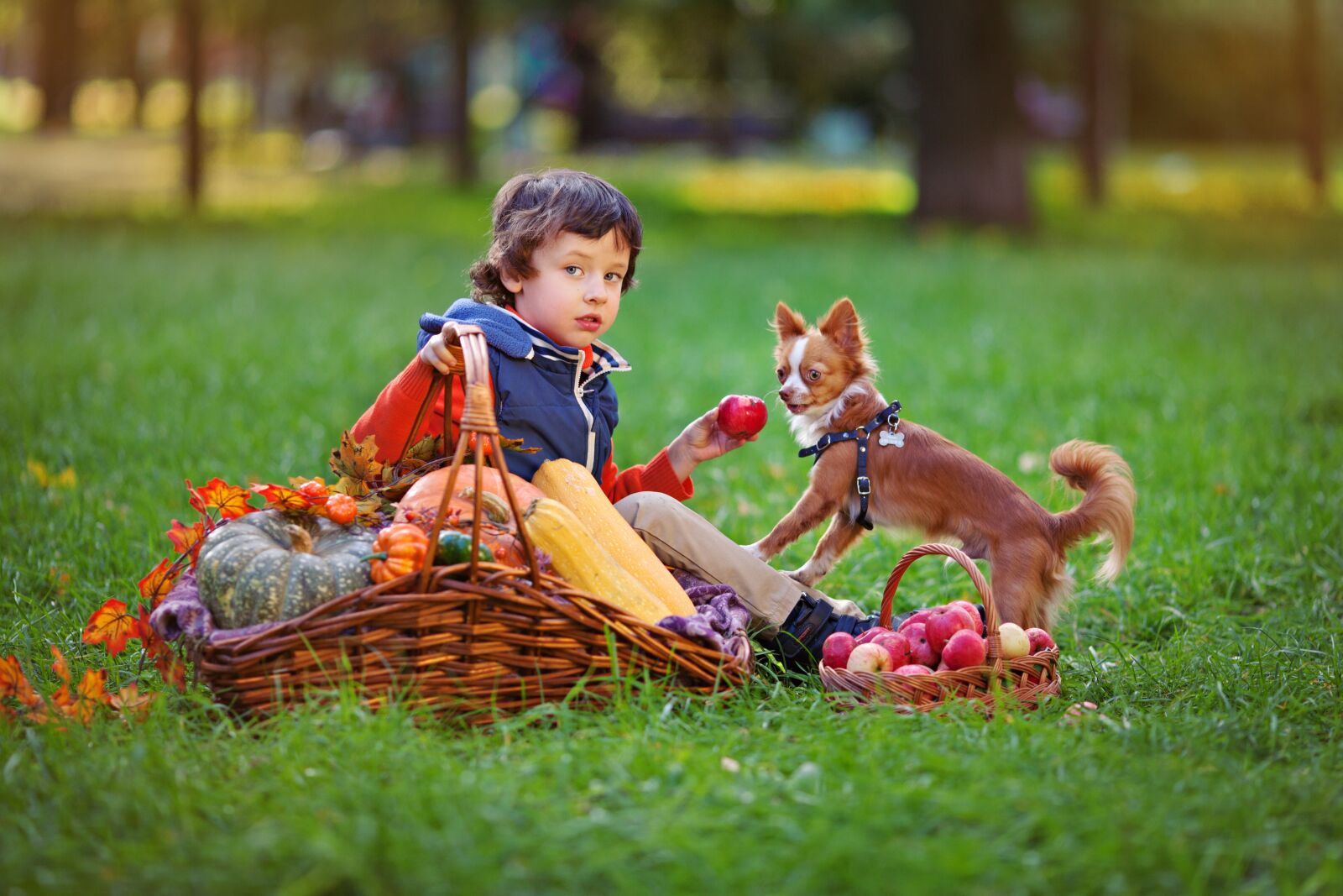 Canon EOS 5D Mark II sample photo. Boy, dog, pug photography