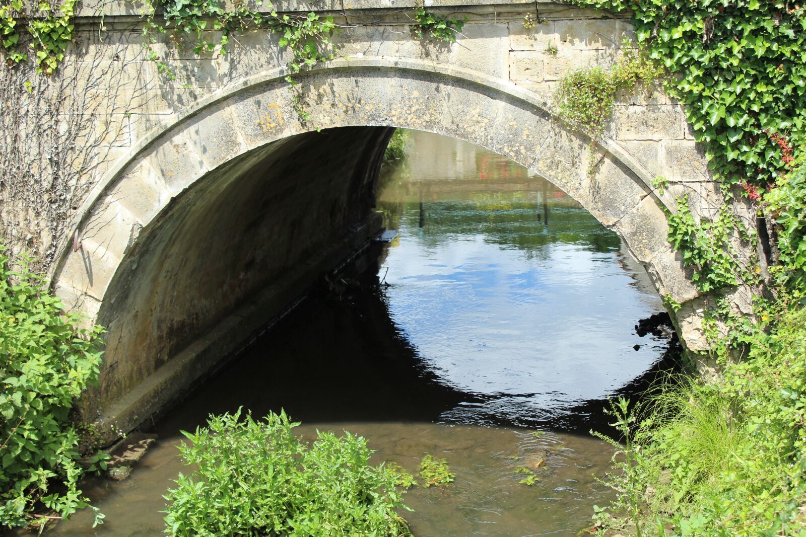 Canon EOS 1200D (EOS Rebel T5 / EOS Kiss X70 / EOS Hi) sample photo. Bridge, river, nature photography