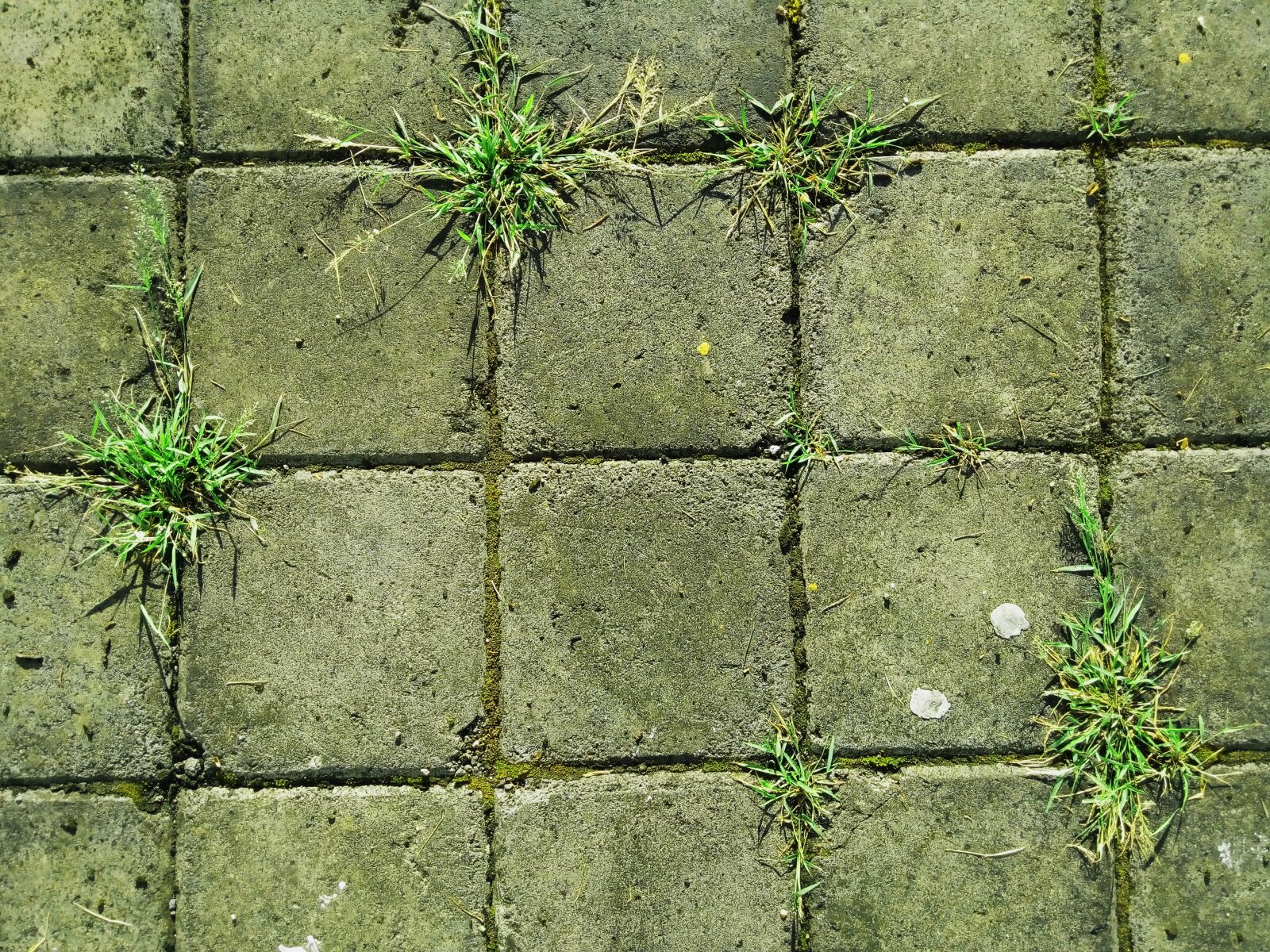 Lenovo X2-AP sample photo. Brick, ground, grass photography