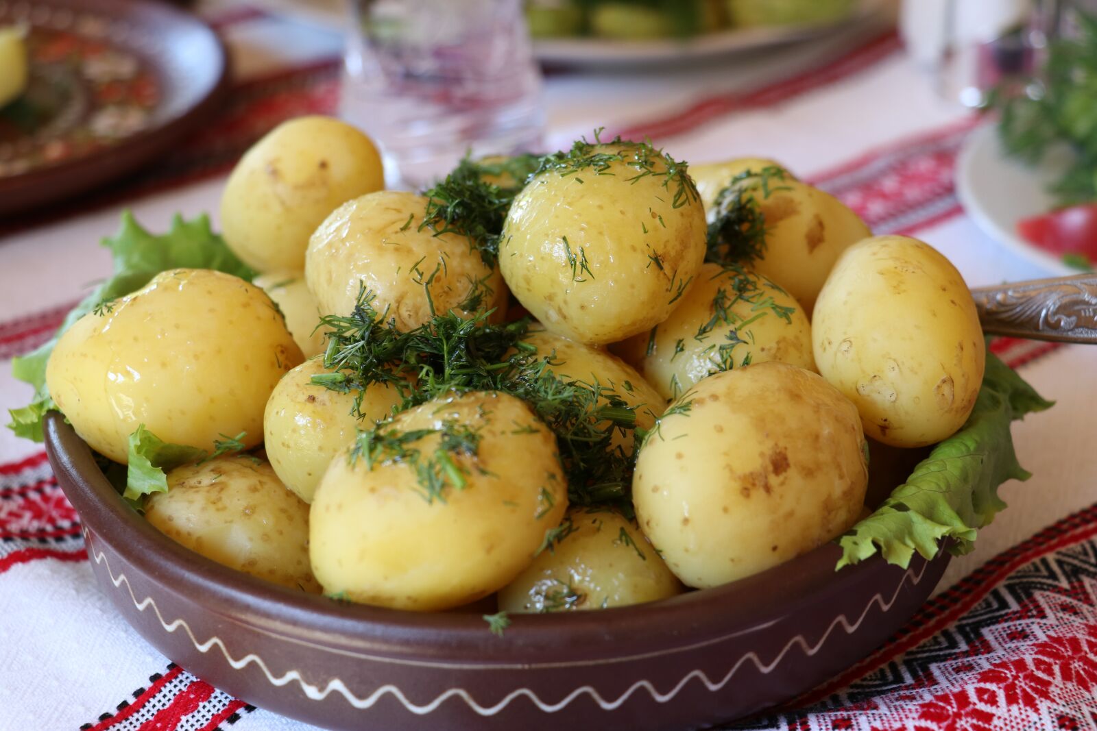 Canon EOS 80D sample photo. Ukraine, potatoes, dill photography