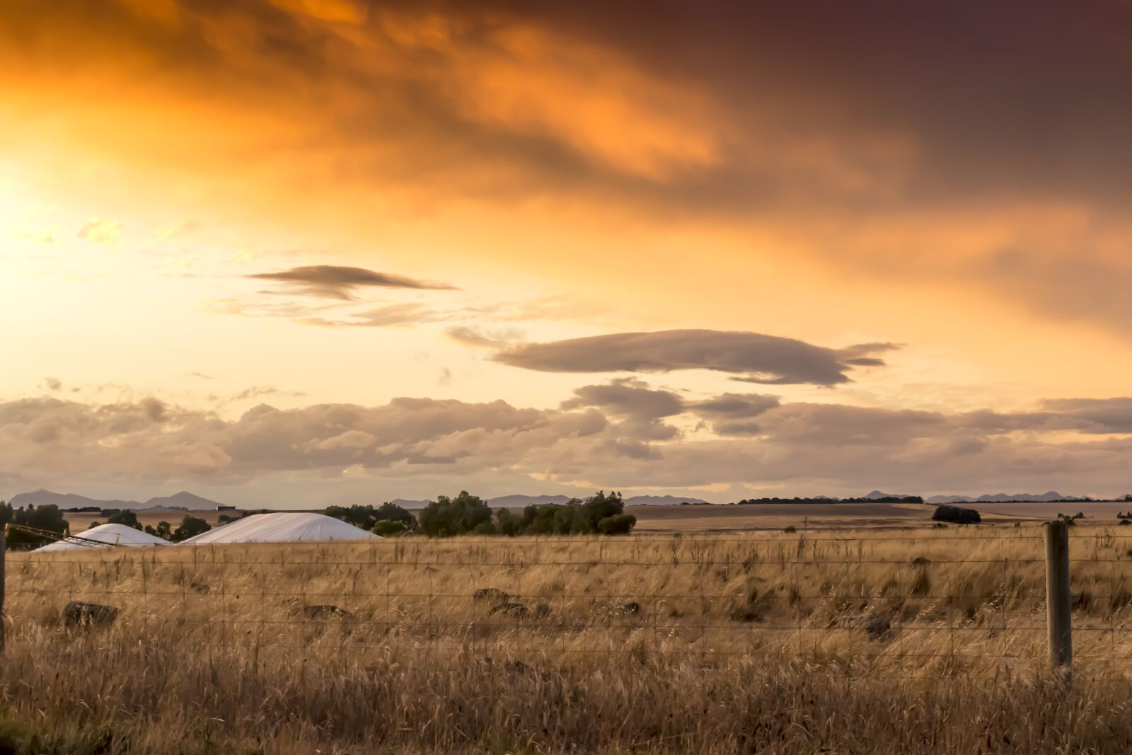 Nikon D5300 sample photo. Agriculture, farm, farming photography