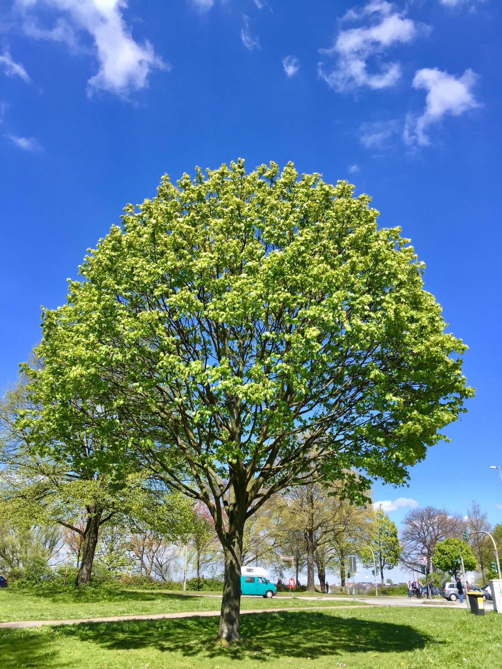 iPhone 6 Plus back camera 4.15mm f/2.2 sample photo. Hamburg, boat, wasser photography