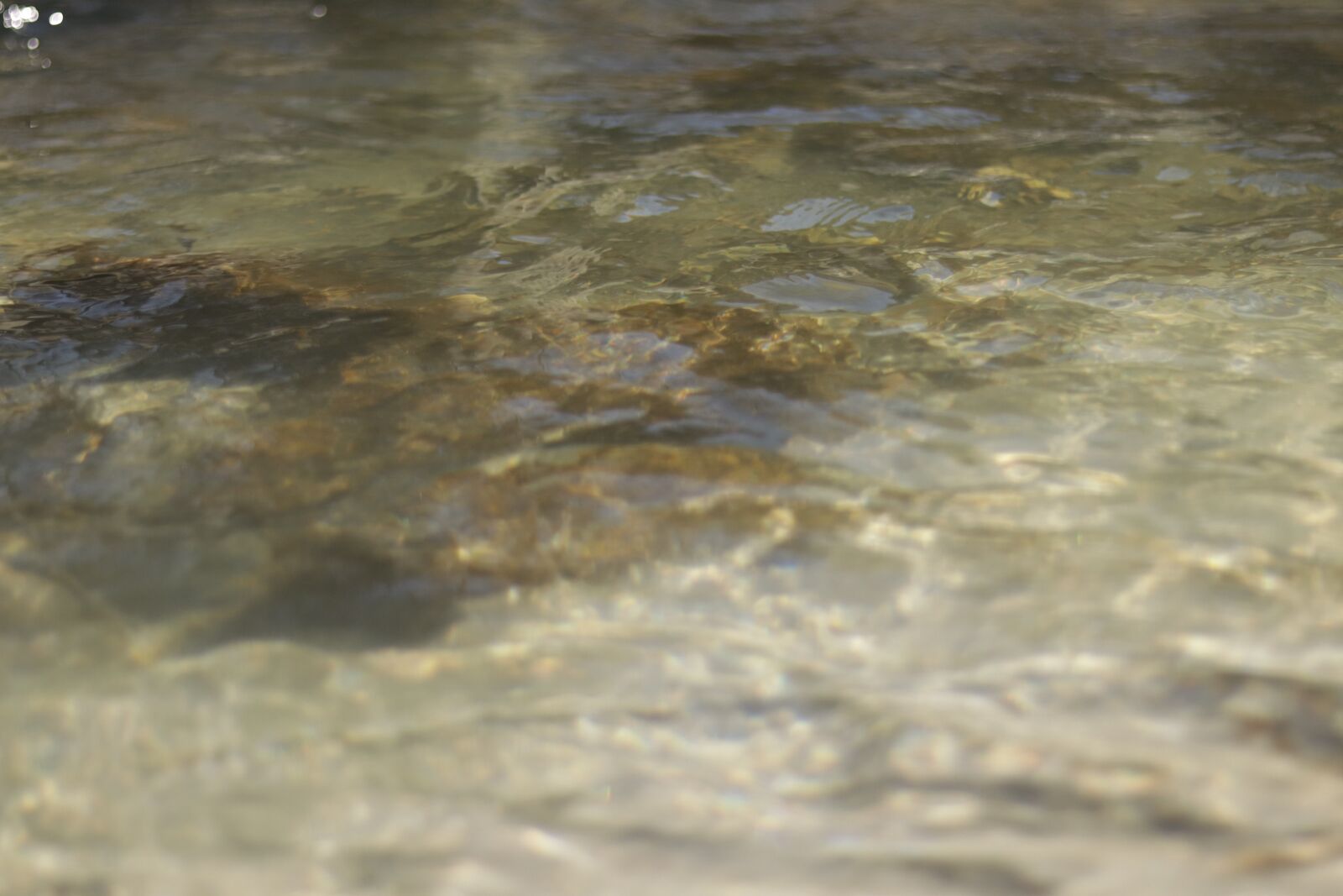 Canon EOS M50 (EOS Kiss M) + Canon EF 50mm F1.8 STM sample photo. Waters, water, mirroring photography