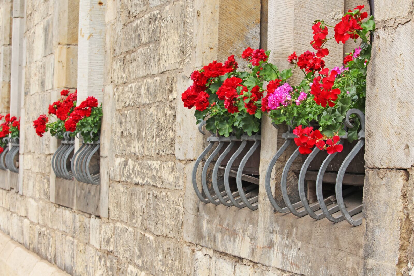 Canon EF-S 55-250mm F4-5.6 IS STM sample photo. Facade, house facade, window photography
