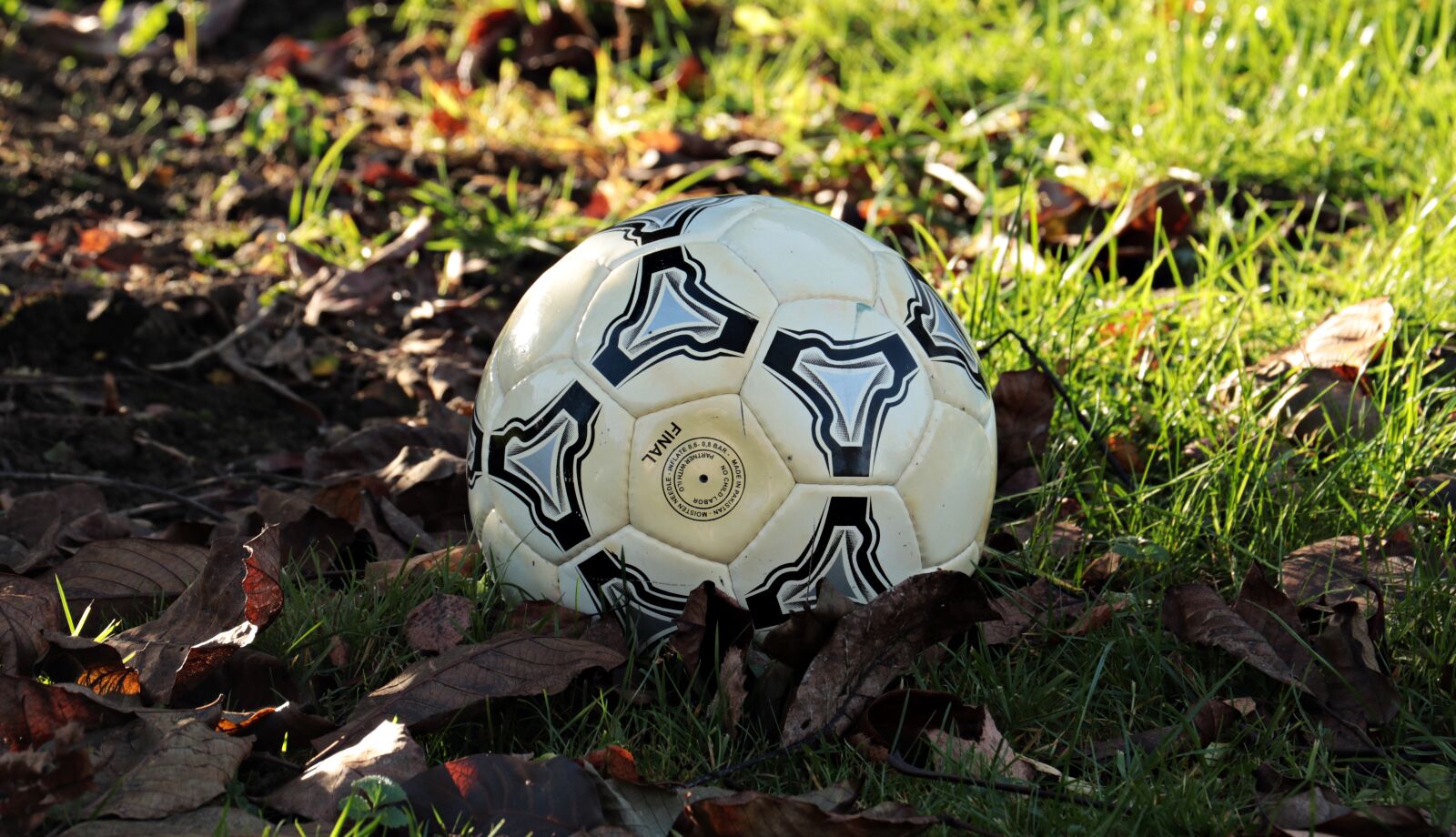 Canon EOS 80D sample photo. Football, autumn, autumn champions photography