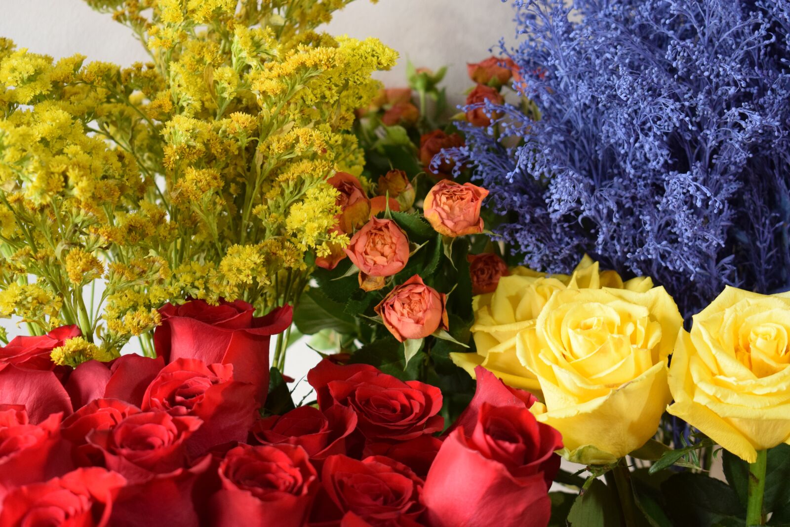 Nikon D3300 sample photo. Roses, flower, floral photography