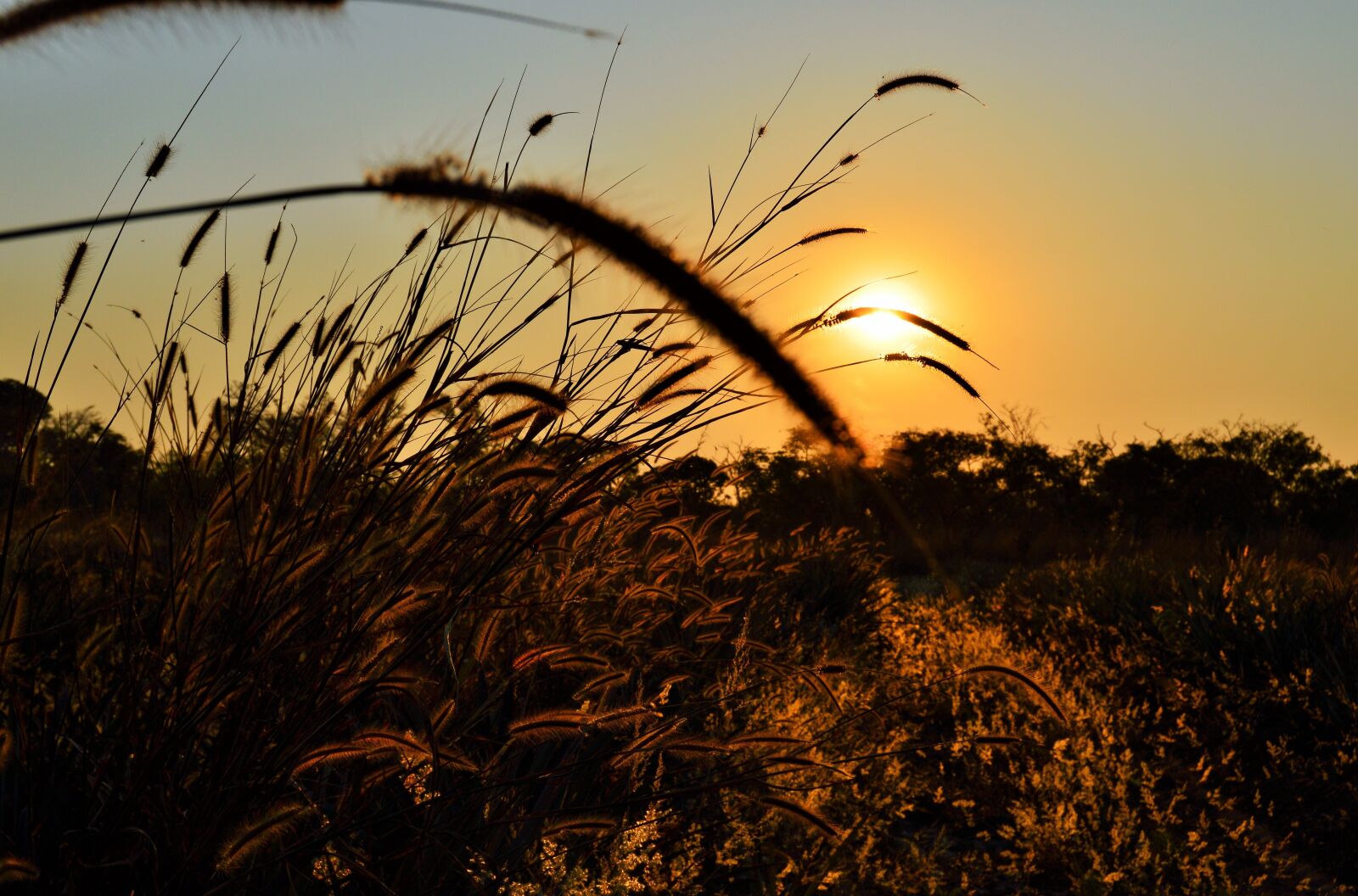 Nikon D3200 sample photo. Landscape, sunset, sky photography