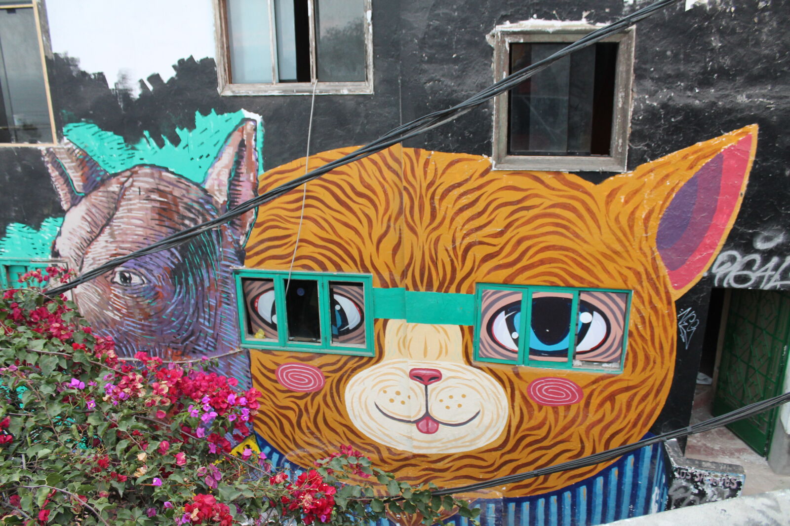 Canon EOS 1100D (EOS Rebel T3 / EOS Kiss X50) sample photo. Cat, glasses, lima, peru photography
