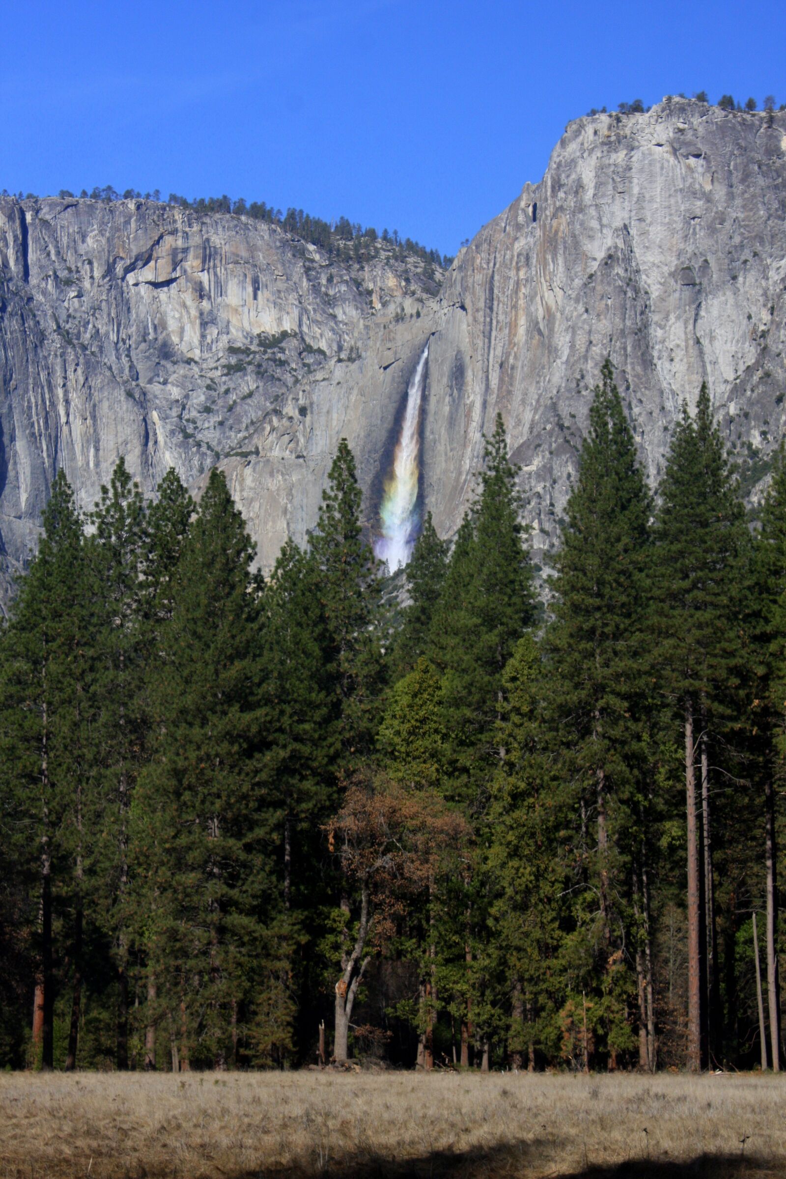 Canon EOS 40D sample photo. Yosemite, national park, california photography