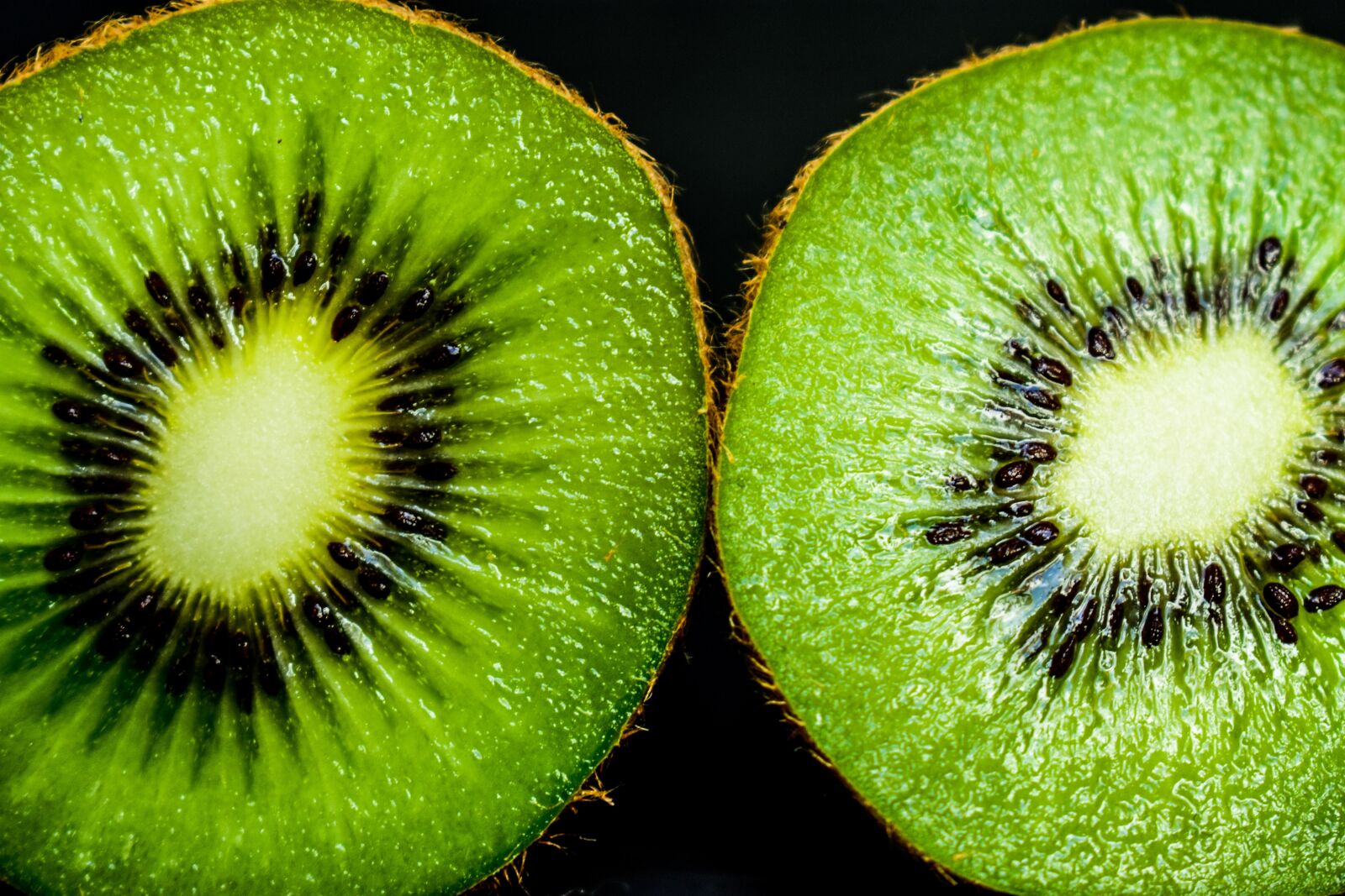 Nikon D3400 sample photo. Kiwi, approach, vivid photography