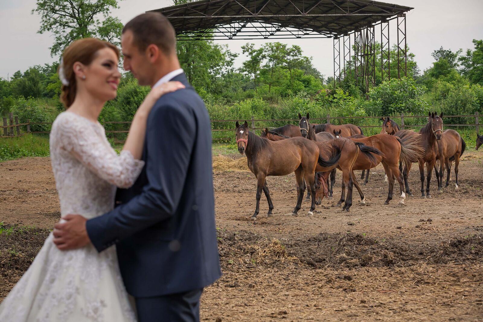 Canon EF 70-200mm F2.8L IS II USM sample photo. Horses, ranch, farmland, groom photography
