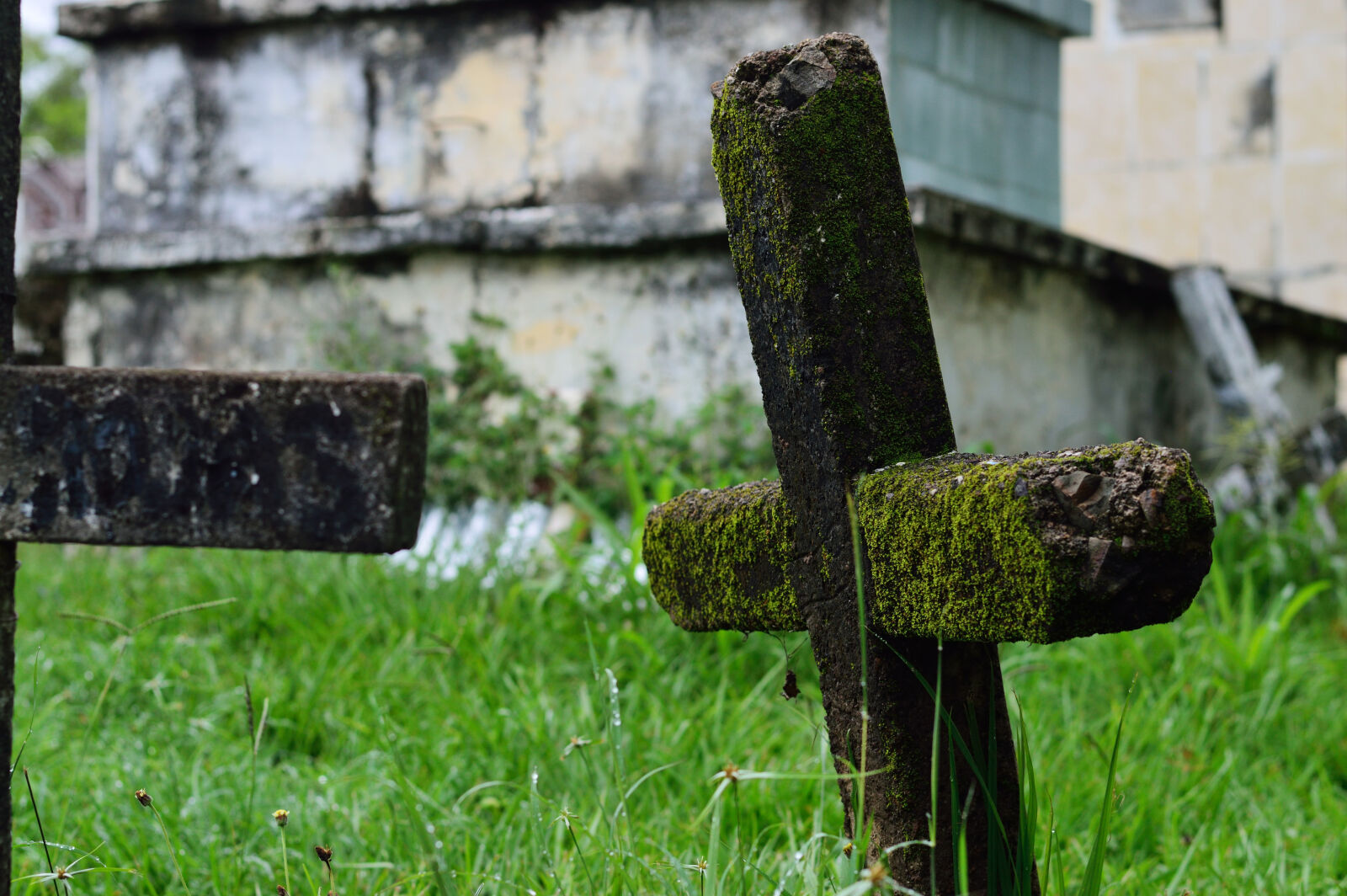 Nikon D3200 sample photo. Ancient, cemetery, creepy, cross photography
