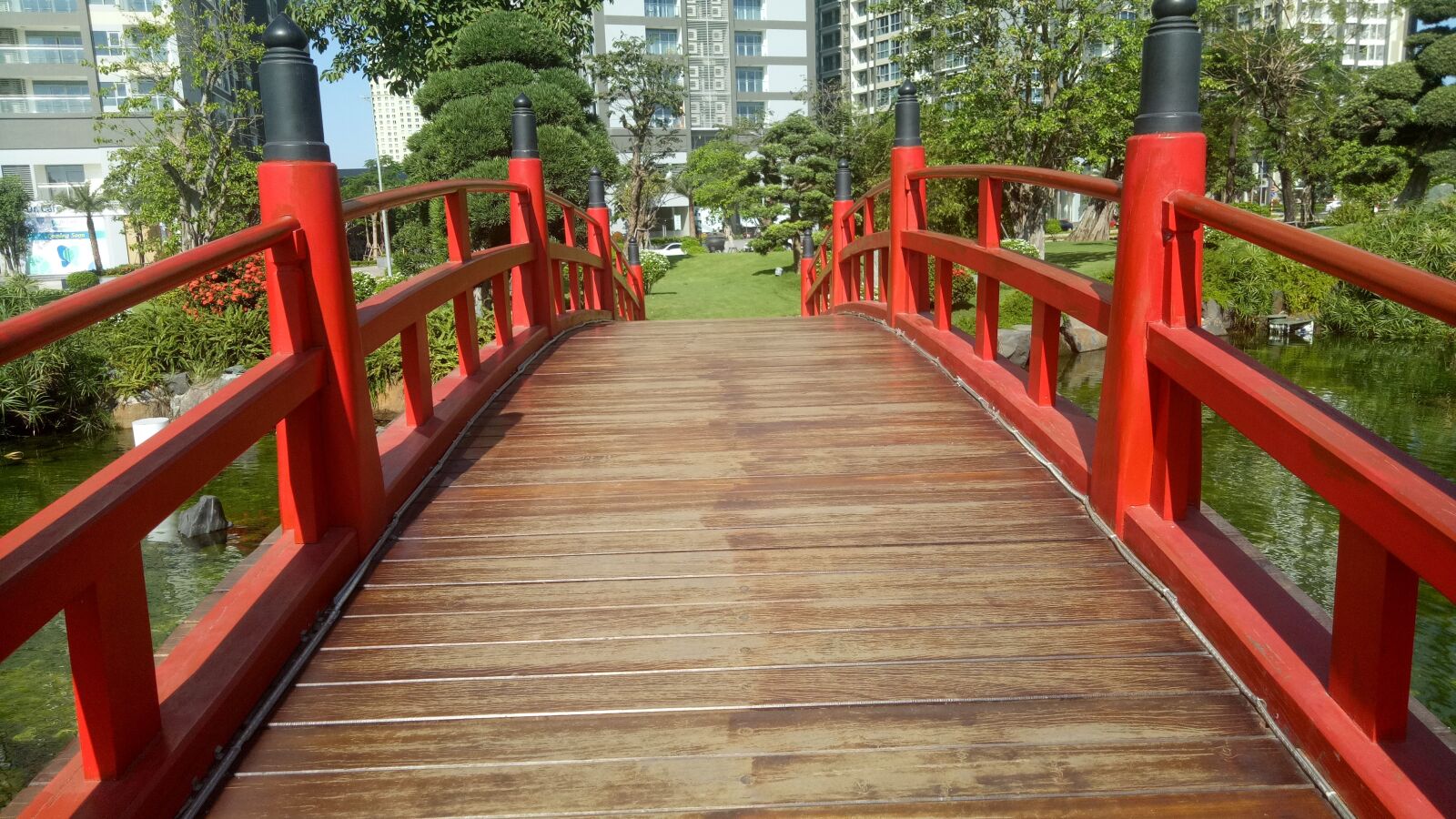OPPO A1601 sample photo. Wood, nature, bridge photography