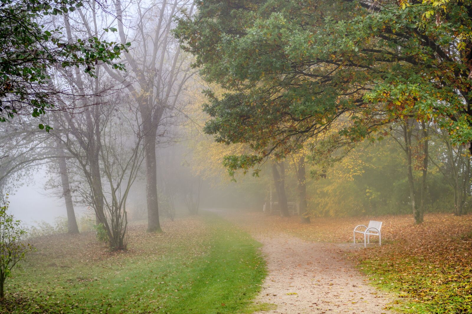 Panasonic Lumix DC-G90 (Lumix DC-G91) sample photo. Away, fog, morning photography