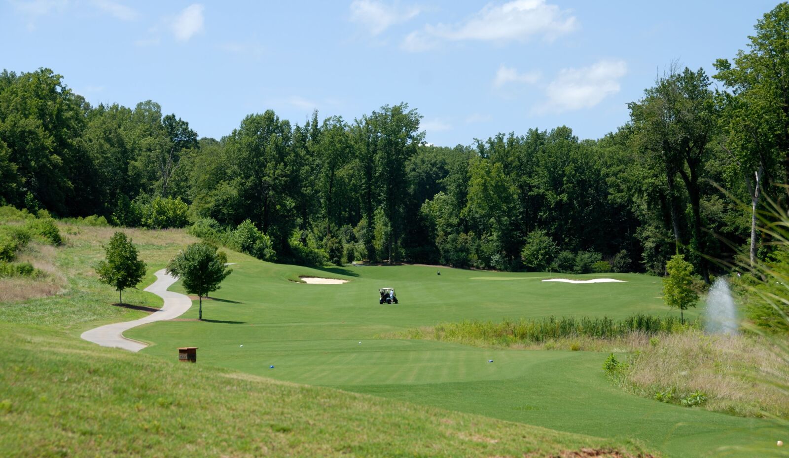Nikon D200 sample photo. Golf course, golf, sport photography