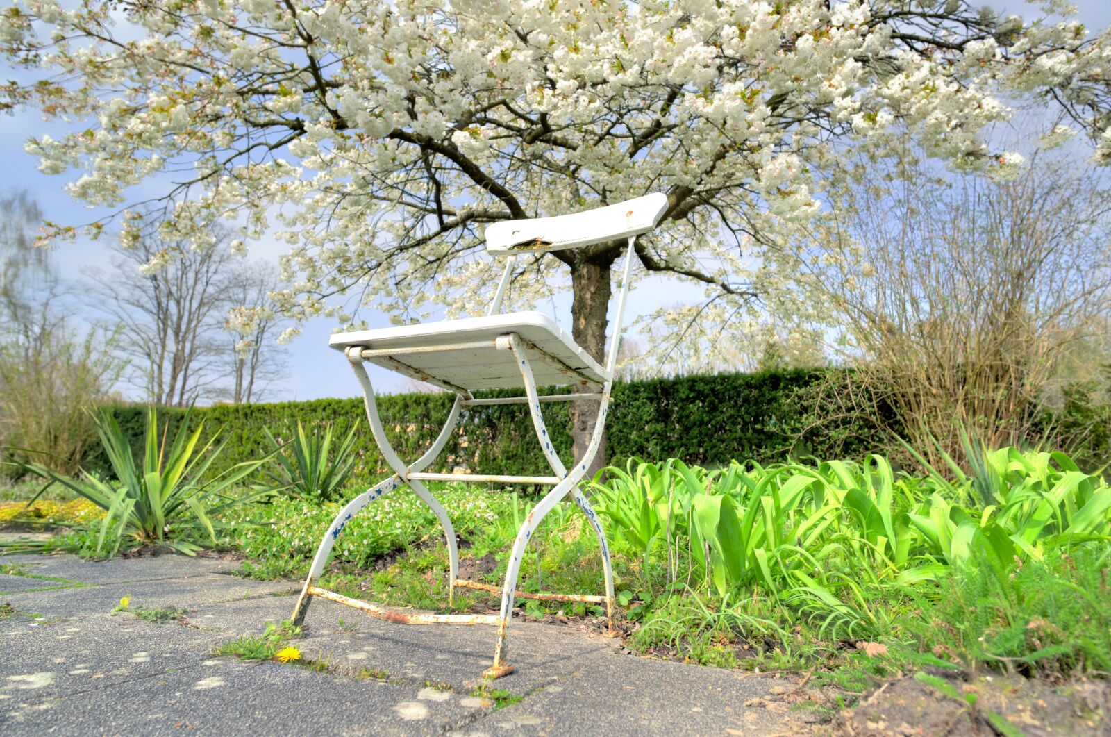 Nikon D610 sample photo. Chair, white, rest photography