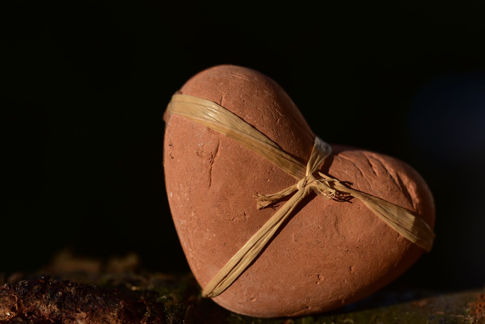 Nikon D750 sample photo. Heart, sound, love photography