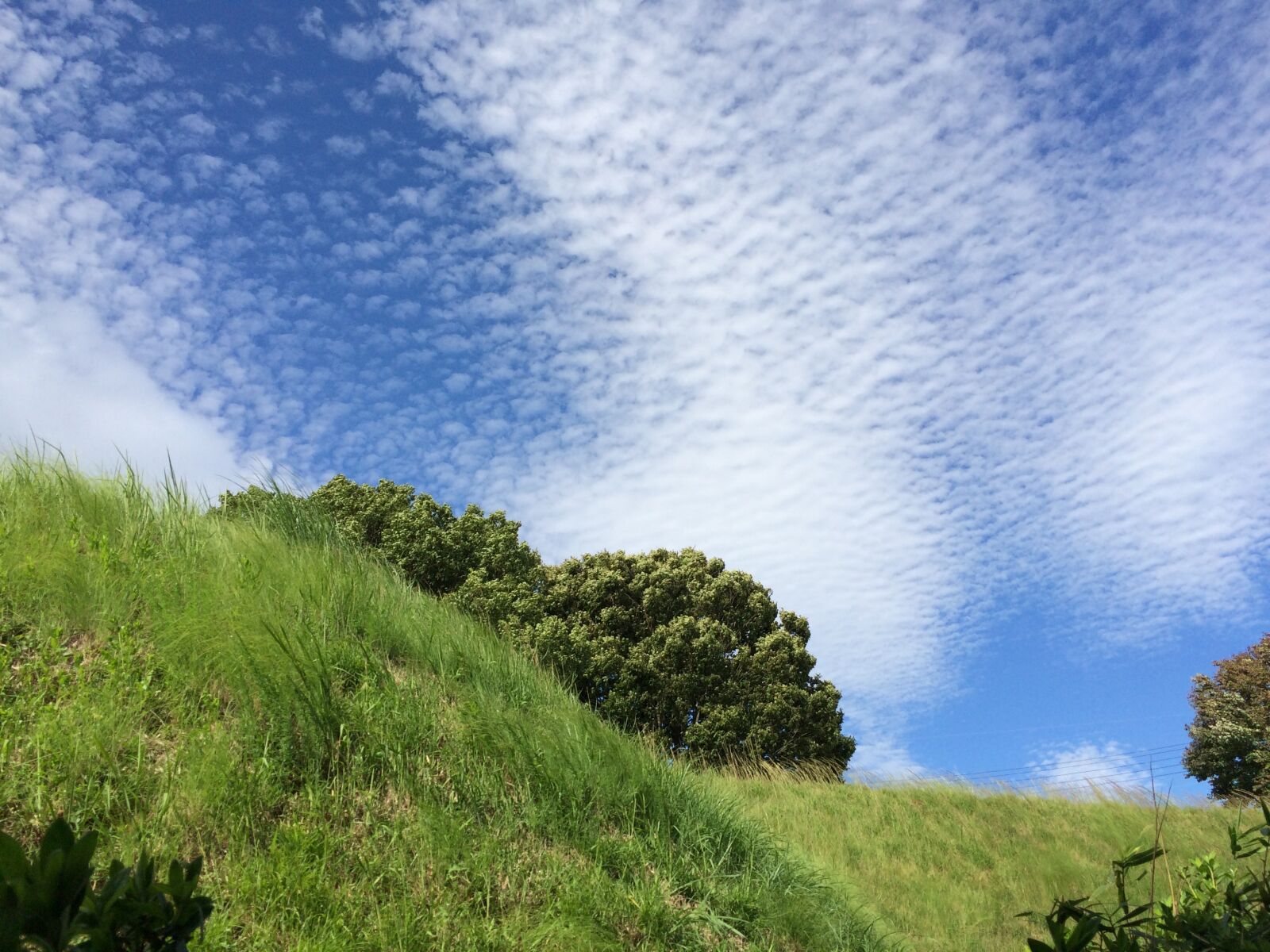 iPhone 5s back camera 4.15mm f/2.2 sample photo. Autumnal sky, cloud, the photography
