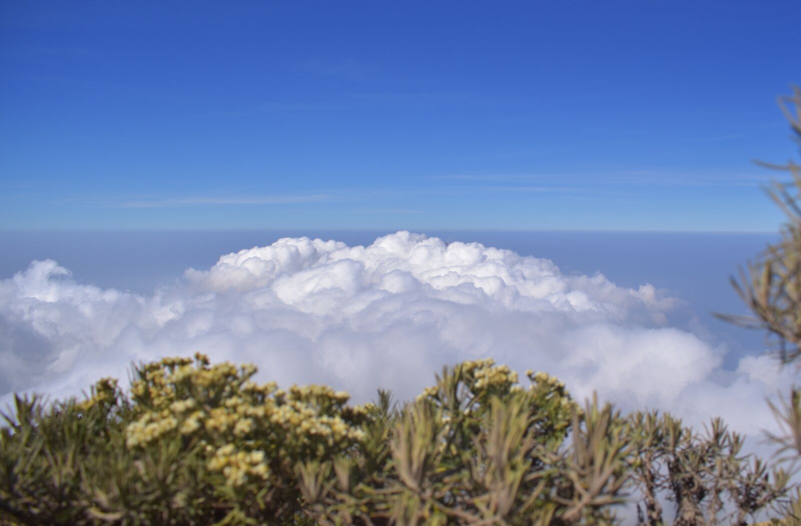 Nikon D3400 sample photo. Clouds, sky, summit photography