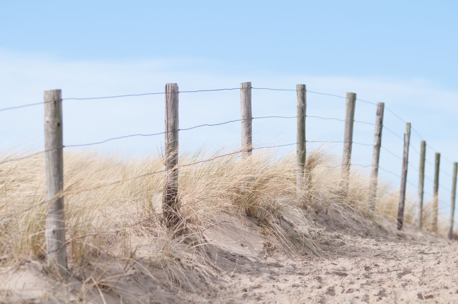 Nikon D300 sample photo. Beach, air, sea photography
