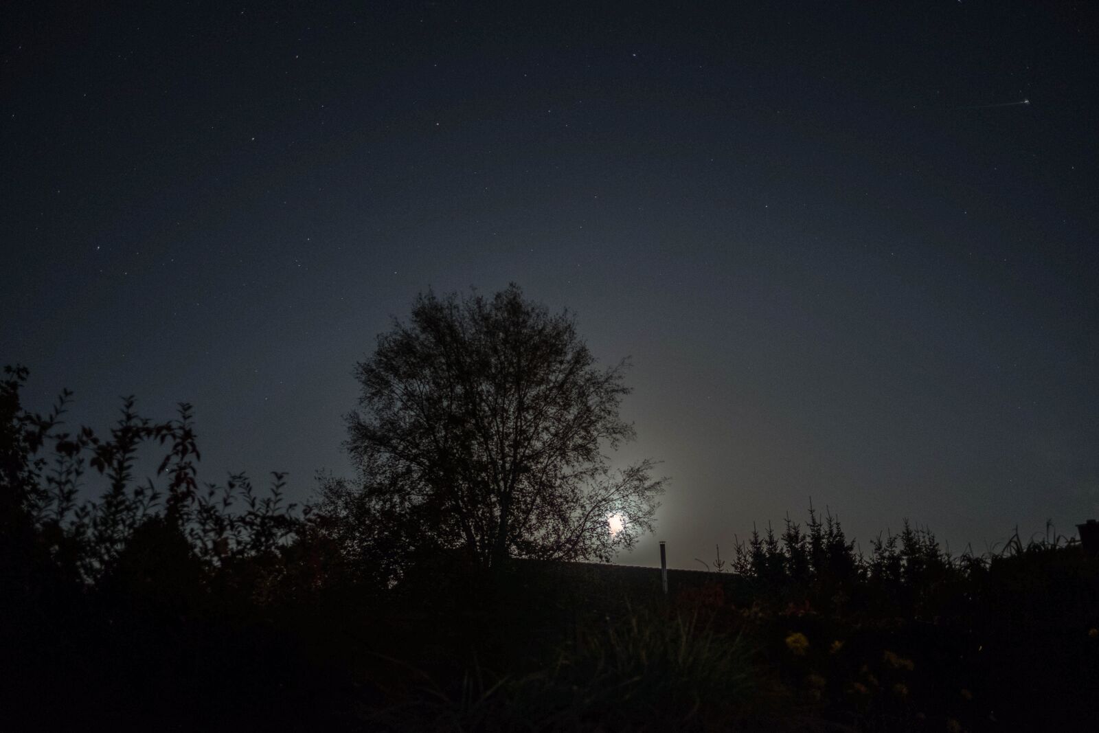 Fujifilm X-T2 + Fujifilm XF 16mm F1.4 R WR sample photo. Moon, night, mood photography