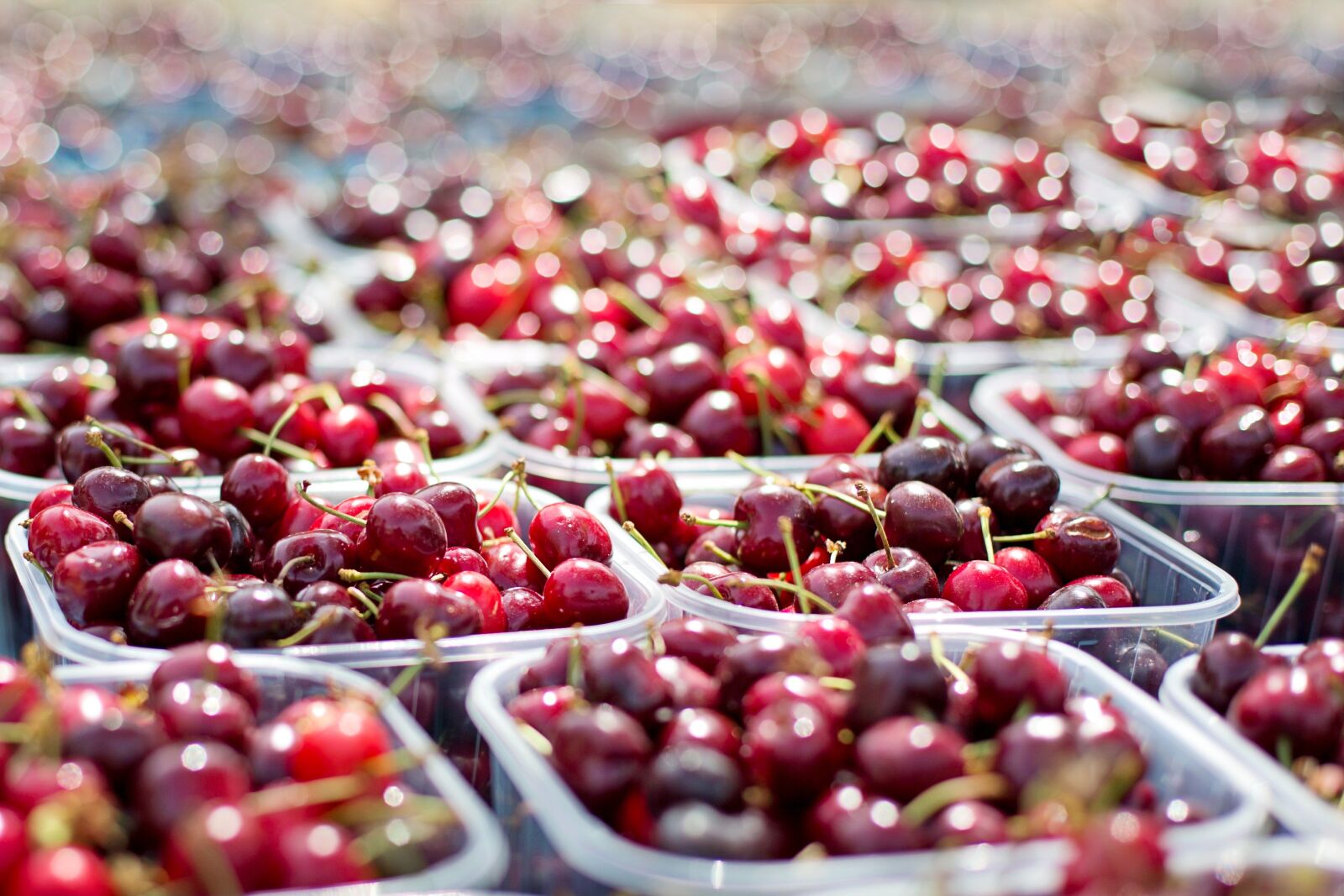Canon EF 50mm F1.4 USM sample photo. Cherries, tubs of cherries photography