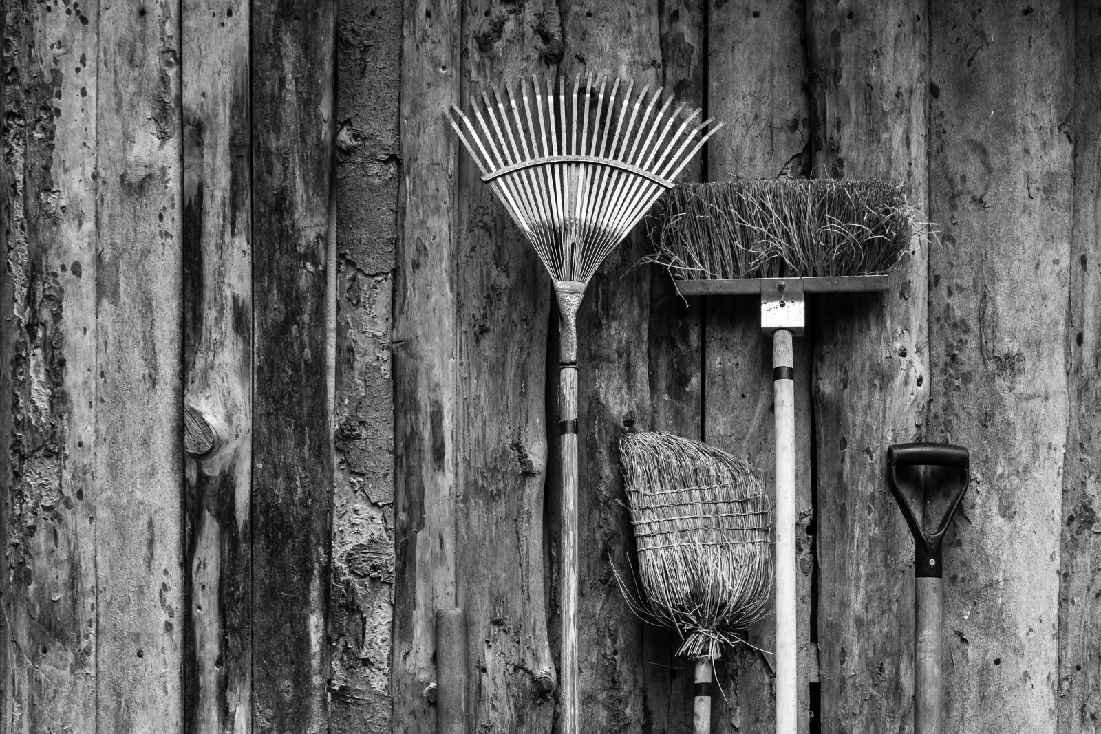 Canon EOS 7D sample photo. Rake, broom, gardening photography