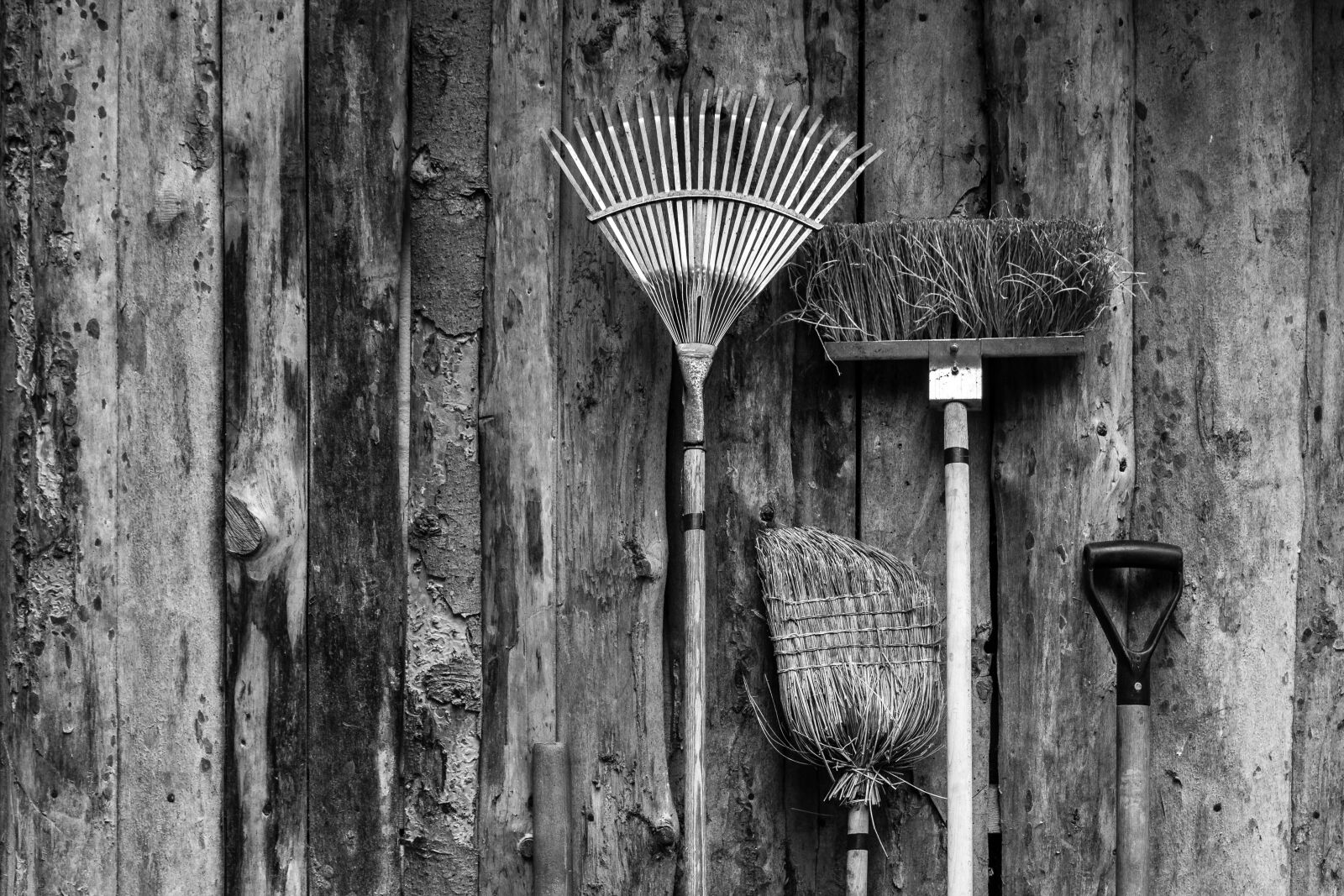 Canon EOS 7D + Sigma 12-24mm f/4.5-5.6 EX DG ASPHERICAL HSM + 1.4x sample photo. Rake, broom, gardening photography