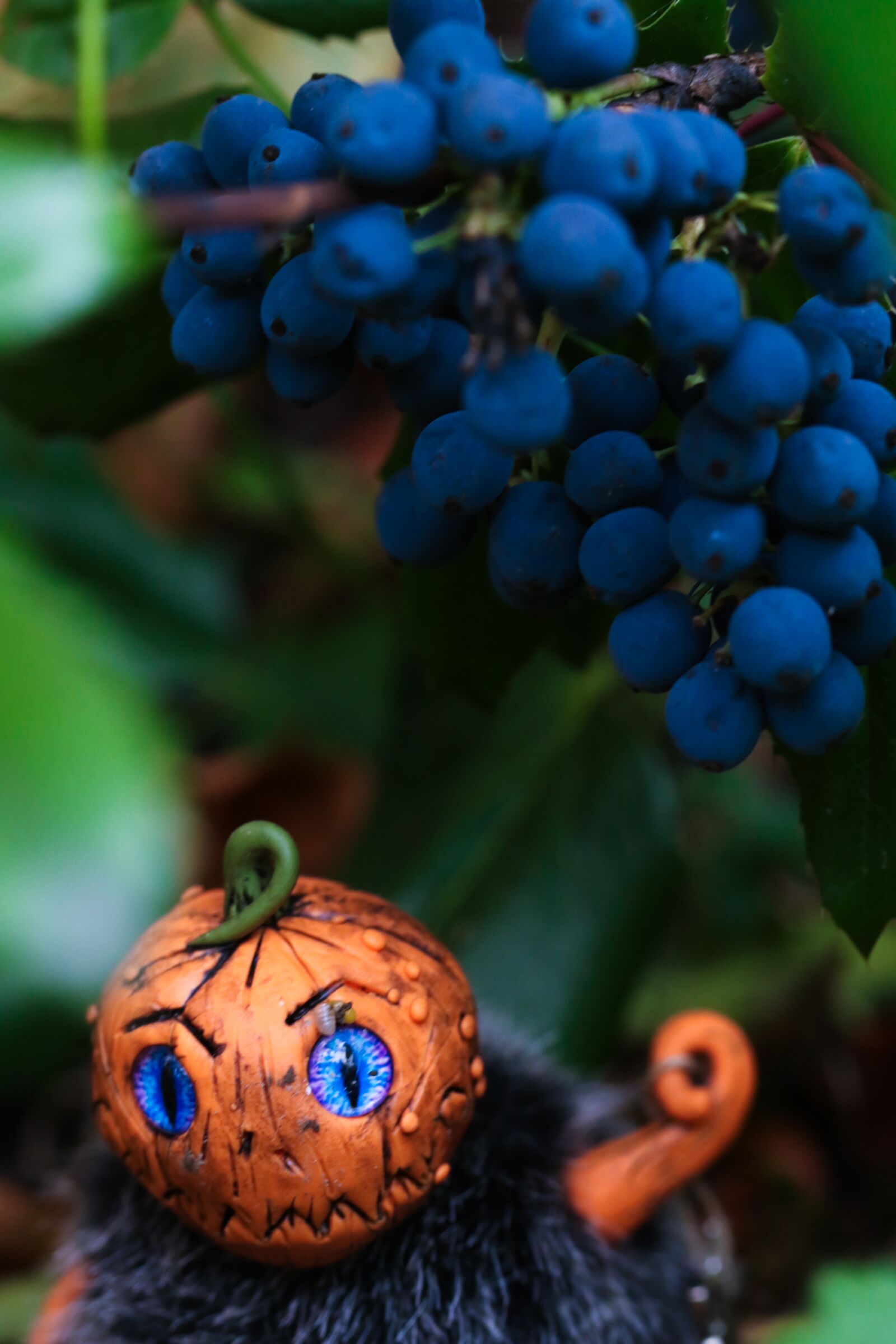 Canon EOS 7D Mark II sample photo. Figure, halloween, berry photography