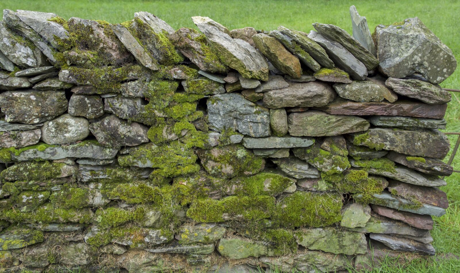 Nikon D7100 sample photo. Stone wall, moss, texture photography