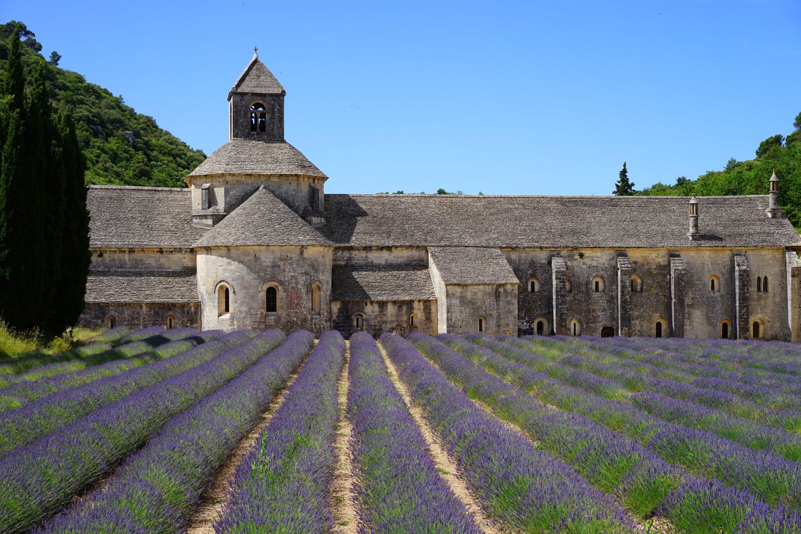 Sony a7 + Sony Sonnar T* FE 55mm F1.8 ZA sample photo. Abbaye de s nanque photography