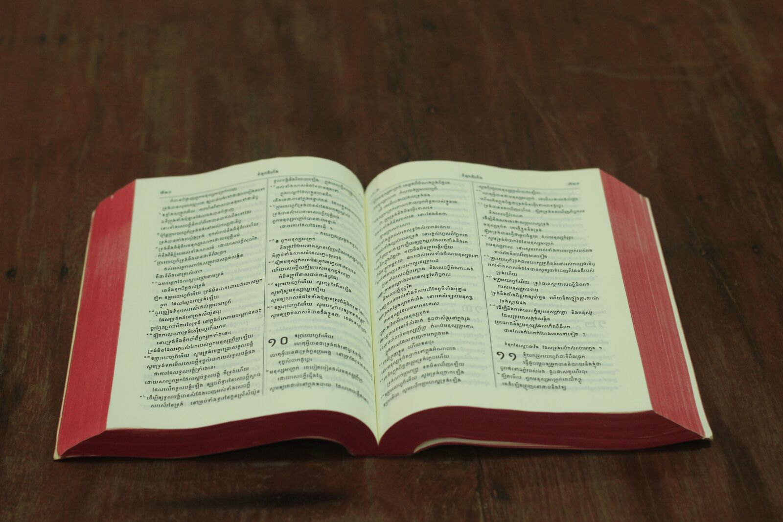 Canon EOS 600D (Rebel EOS T3i / EOS Kiss X5) + Canon EF 50mm F1.8 II sample photo. Khmer bible, jesus, bible photography