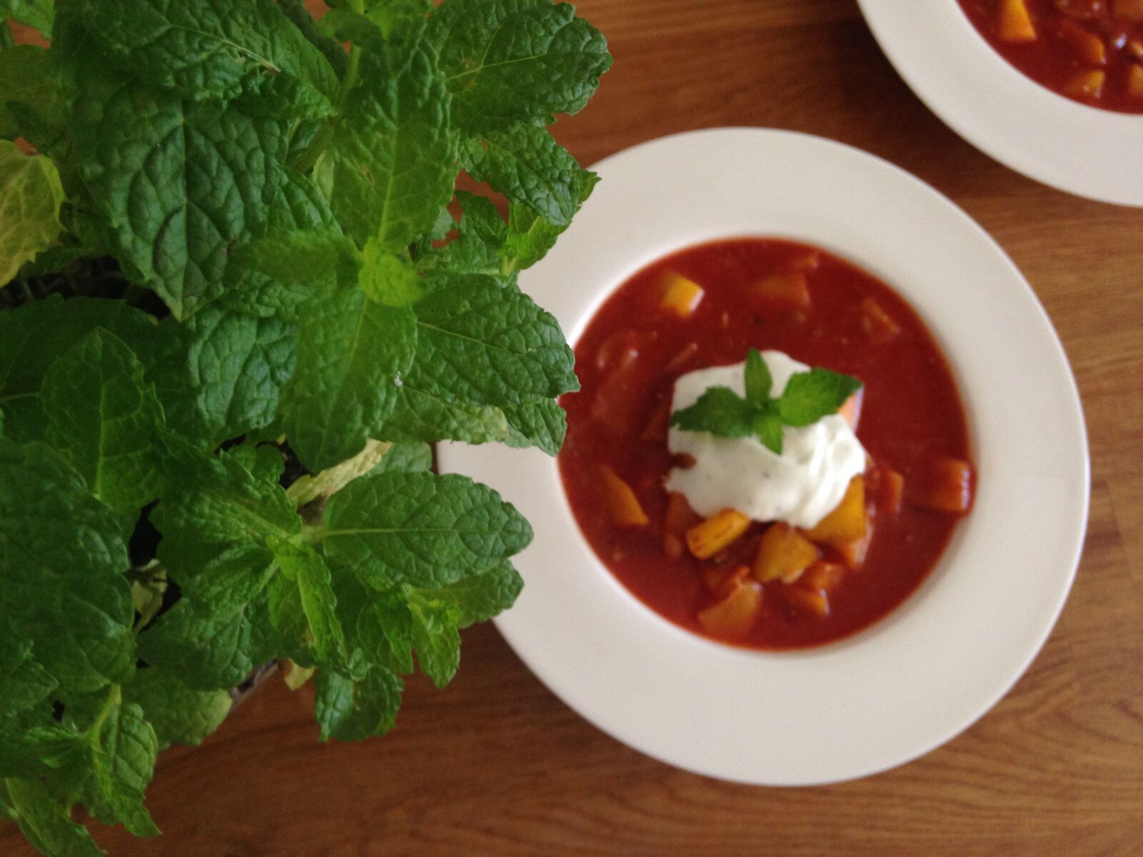 Apple iPhone 5 sample photo. Soup, tomato, basil photography