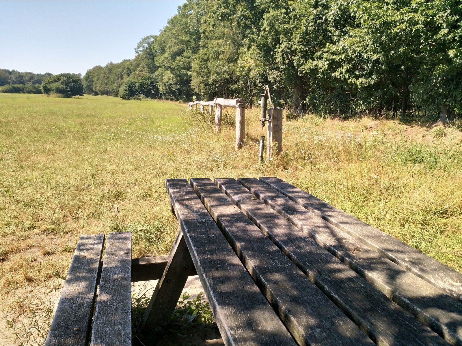 HMD Global Nokia 8 sample photo. Park, bench, sitting photography