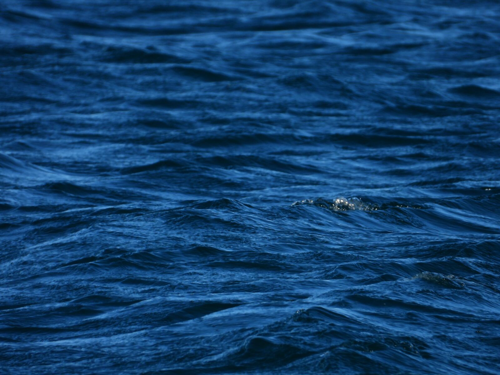 Nikon Coolpix P1000 sample photo. Sea, ocean, blue photography