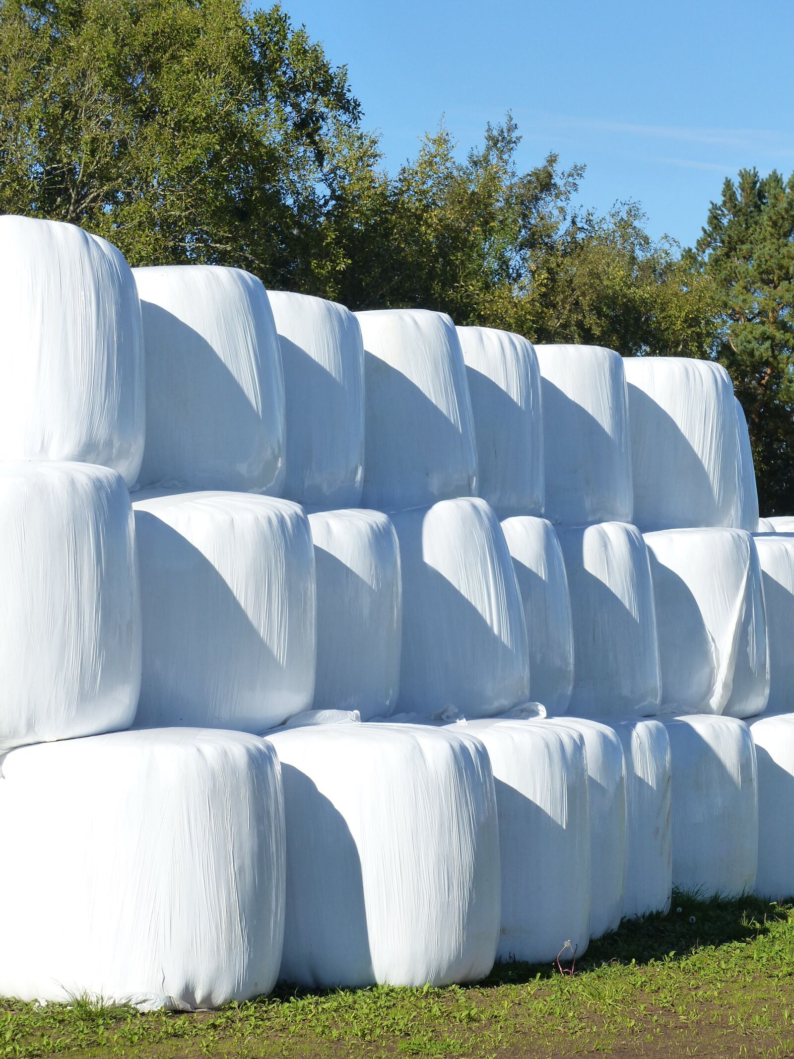 Panasonic Lumix DMC-FZ200 sample photo. Hay bales, plastic, white photography