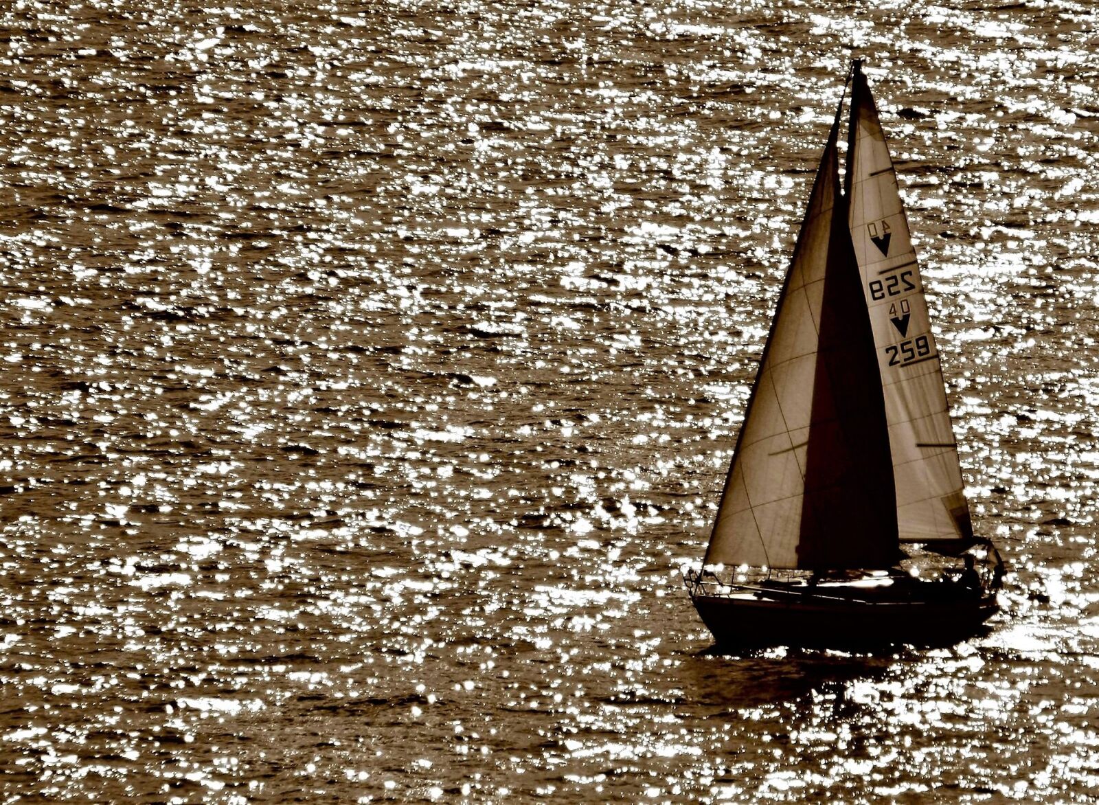 Canon EOS 40D sample photo. Waters, lake constance, sailor photography