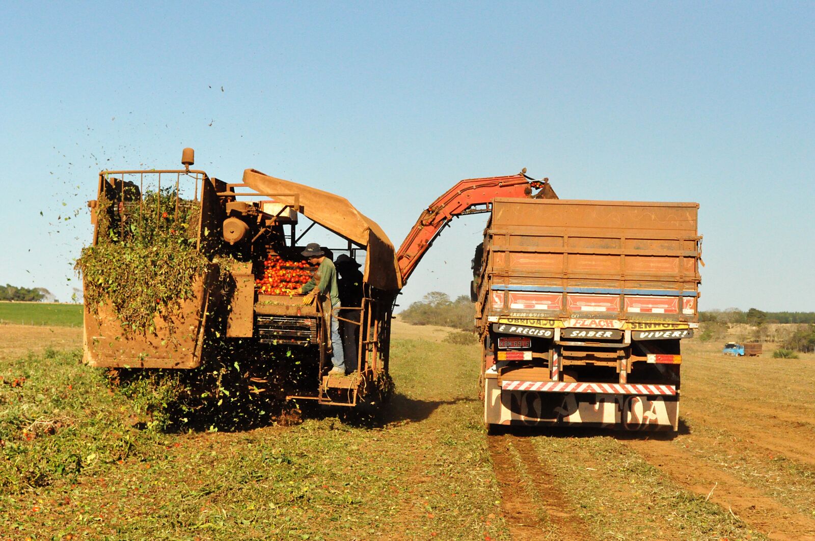 Nikon D90 sample photo. Agriculture, harvest, field photography