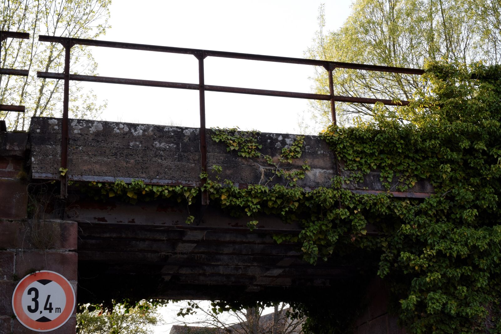 Nikon D5300 sample photo. Climbing ivy, rust, rusted photography