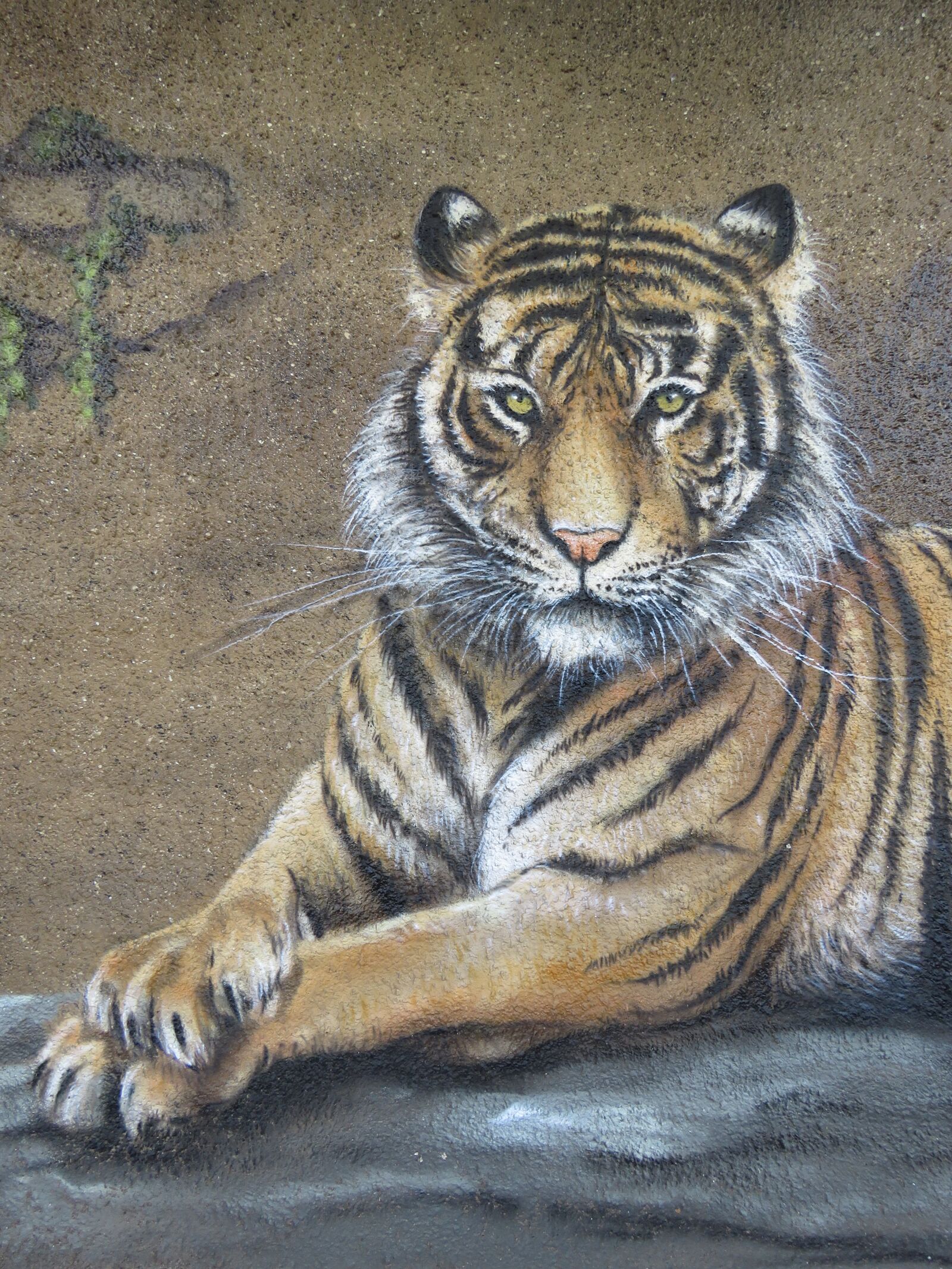 Canon PowerShot SX60 HS sample photo. Tiger, wall art, wall photography