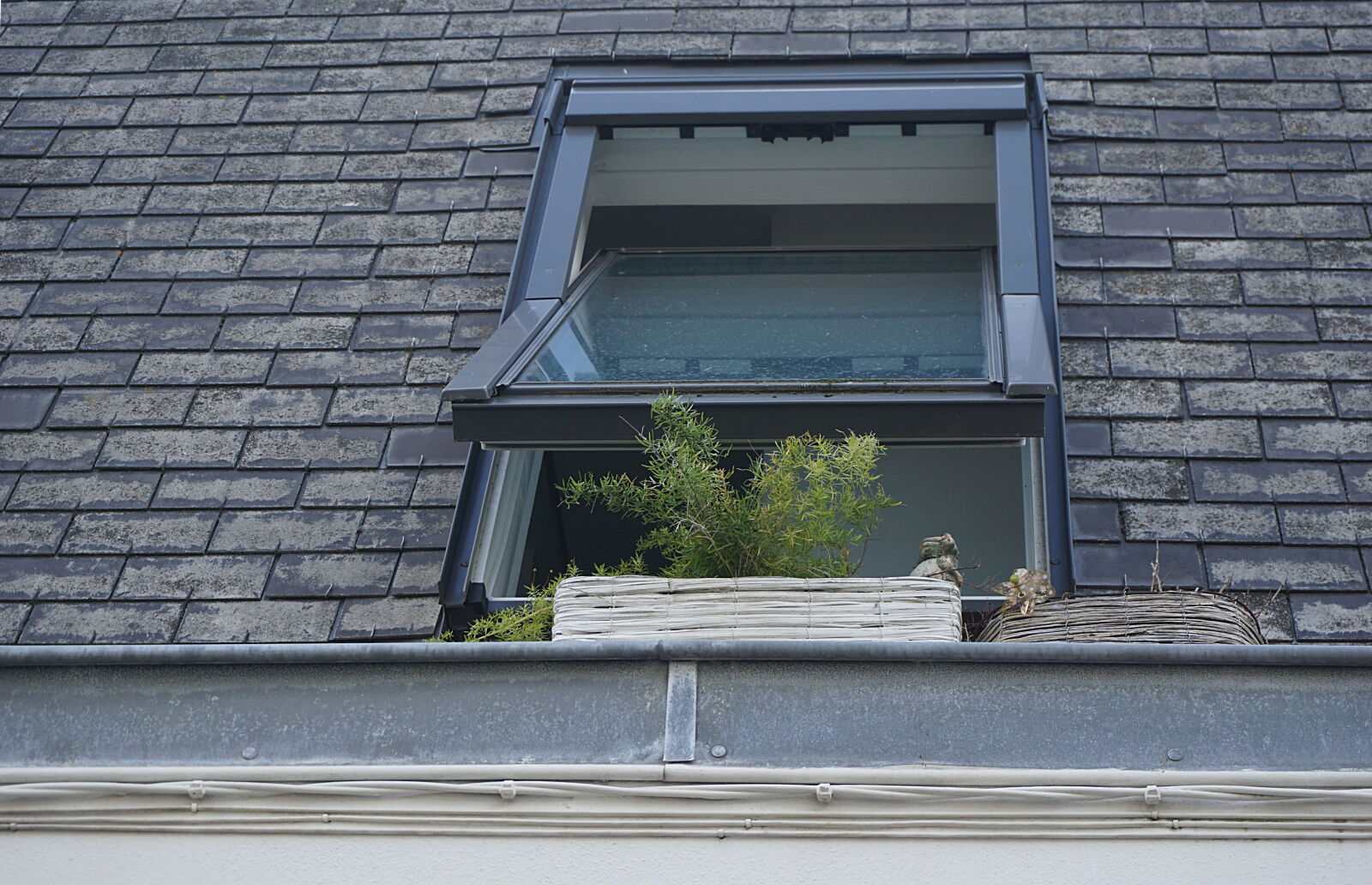 Sony a6000 sample photo. Clear, glass, window, open photography
