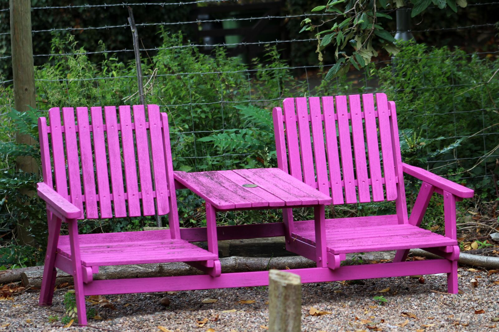 Canon EF 75-300mm f/4-5.6 sample photo. Seat, bench, pink photography