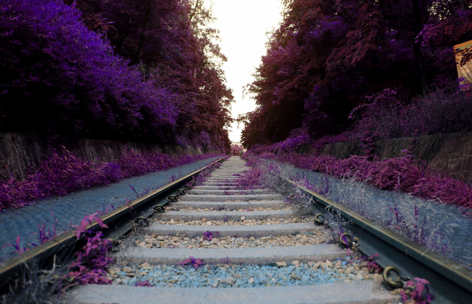 Canon EOS 6D + Canon EF 24-105mm F4L IS USM sample photo. Arboretum, railroad tracks, mont-hwan photography