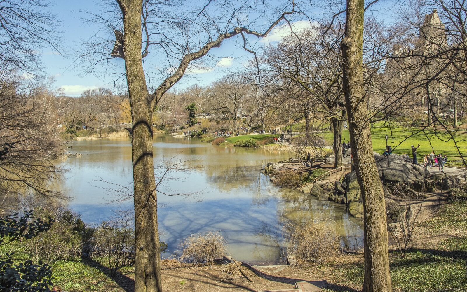 Nikon D7200 sample photo. Nature, tree, landscape photography