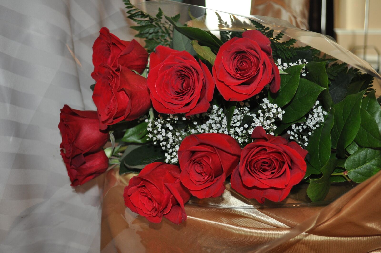 Nikon D5000 sample photo. Roses, flowers, red roses photography