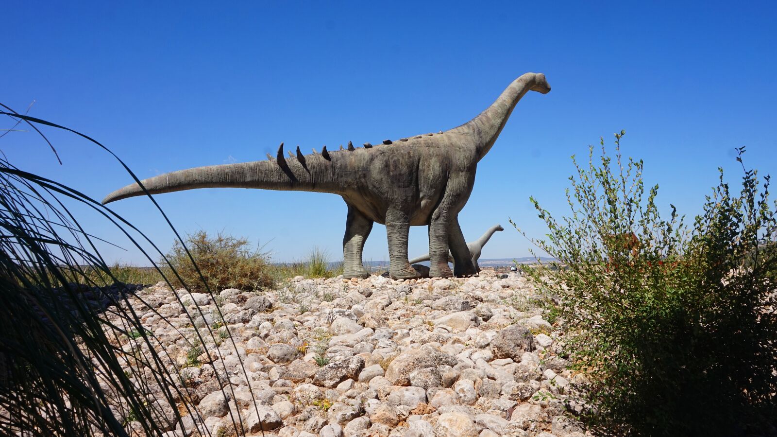 Sony Alpha a5000 (ILCE 5000) sample photo. Dinosaur, basin, paleontology photography