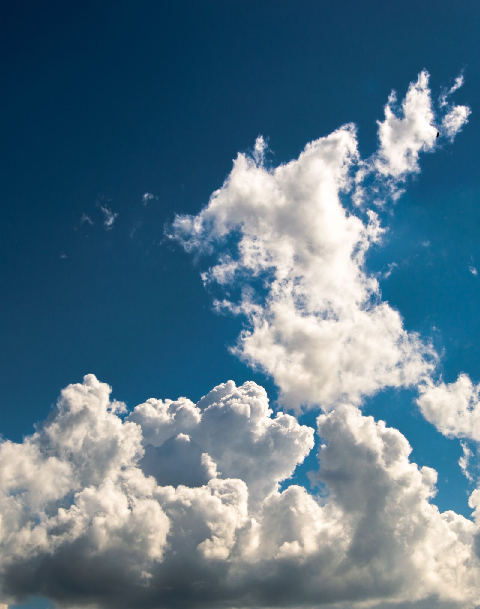 Nikon D3200 sample photo. Sky, birds, clouds photography