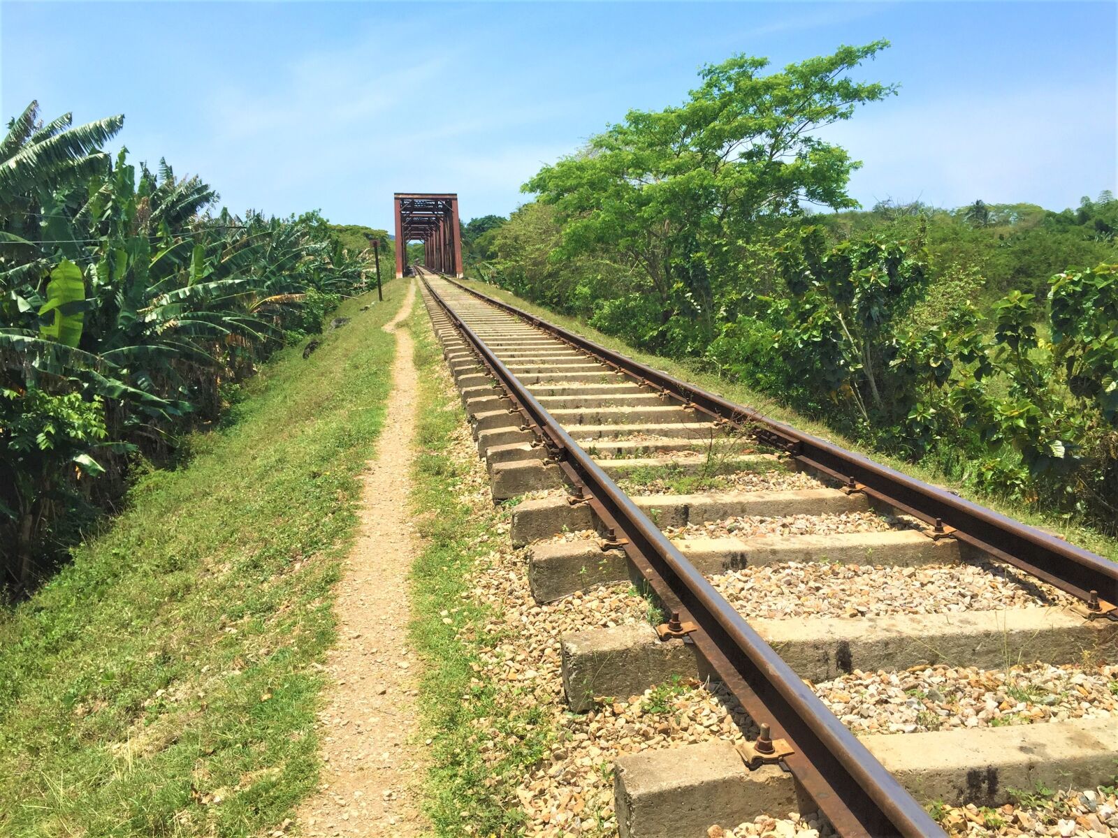 Apple iPhone 6 sample photo. Railway, rails, track photography