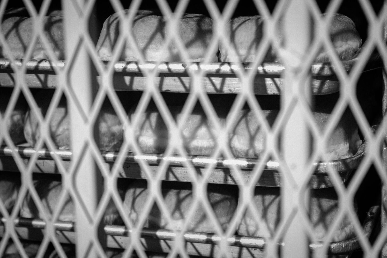 Canon EOS 700D (EOS Rebel T5i / EOS Kiss X7i) sample photo. Bakery, bread, cooling, racks photography